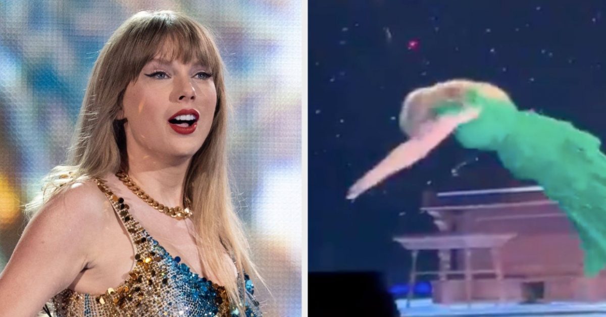 Fans Have Finally Figured Out How Taylor Swift Does That Eras Tour Stage Dive Without Dying