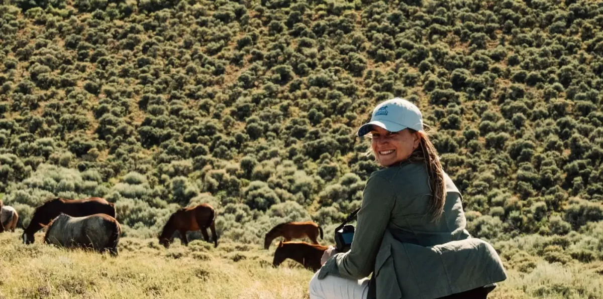 Wild Beauty: Mustang Spirit Of The West