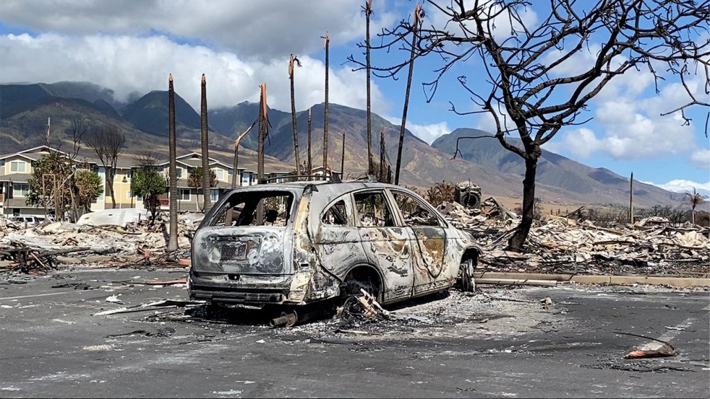 Lahaina Fire Survivor on Her Escape & Rebuilding the Maui Island Town – The Hollywood Reporter