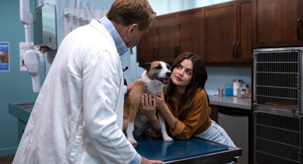 Puppy Love Review: A Quirky Rom-Com with Paws and Potential