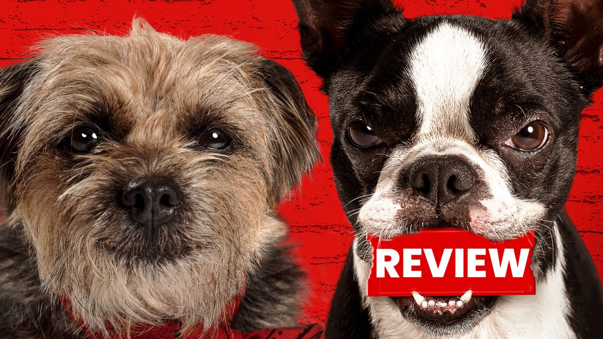 Strays Review: Is This Film More Than Just Bark?