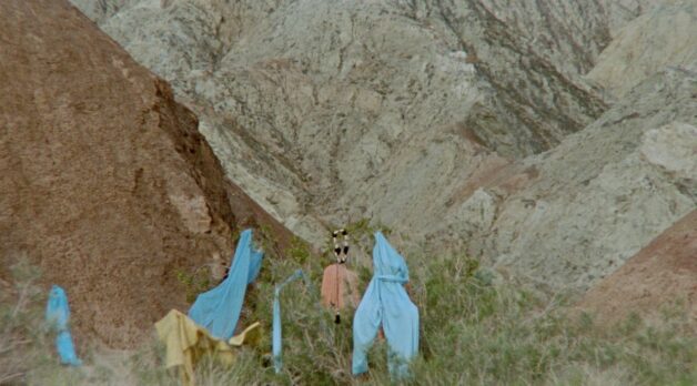 Encounters with the Coachella Valley Landscape: Terra Long on Feet in Water, Head on Fire