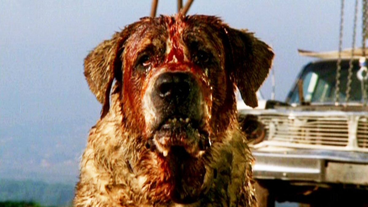 Stephen King Reveals His CUJO Sequel Will Be Included in His New Book YOU LIKE IT DARKER — GeekTyrant