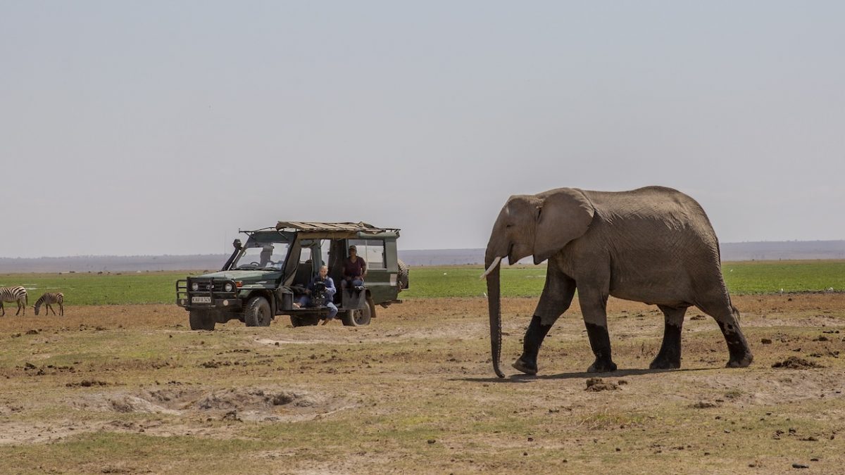 Women in the Wilderness: How Nat Geo’s Queens Aims to Close the Gender Gap in Natural History Filmmaking