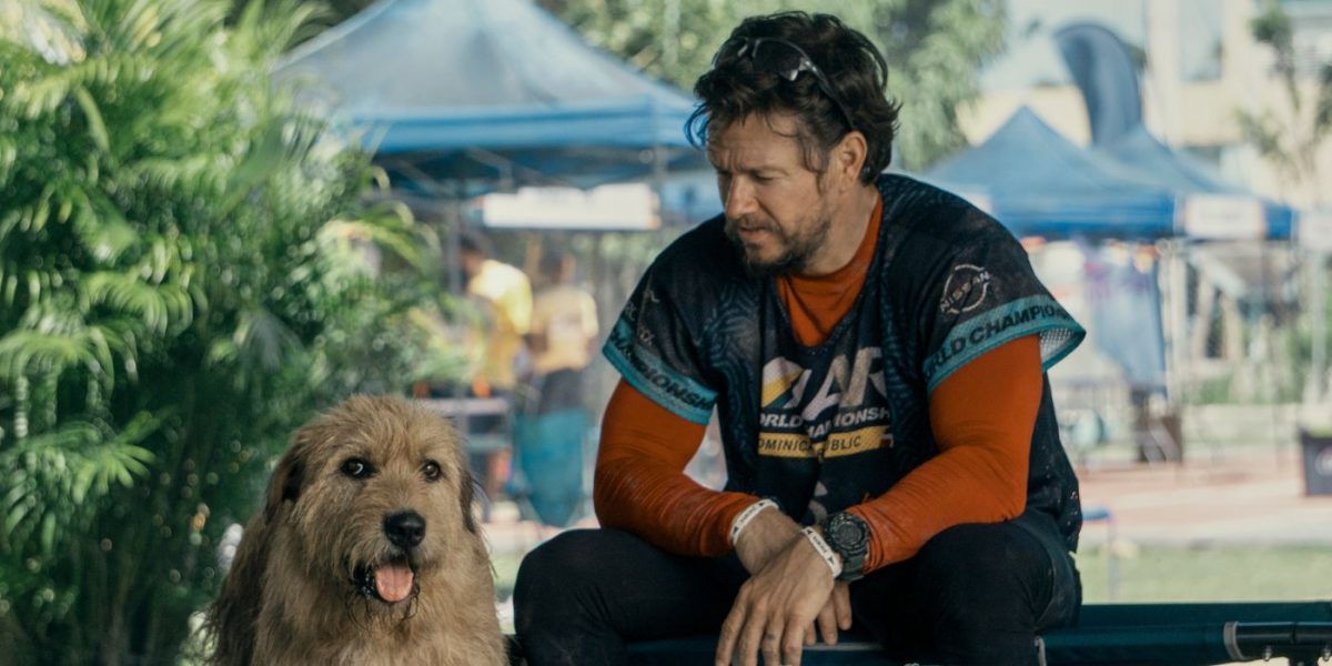 ‘Arthur the King’ Review — Wahlberg & Furry Co-Star Keep This Movie Afloat