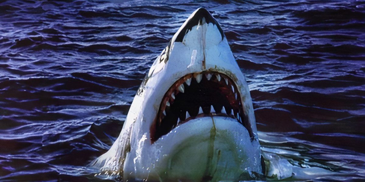 The Shark B-Movie That’s Part True Story, Part ‘Jaws’ Ripoff