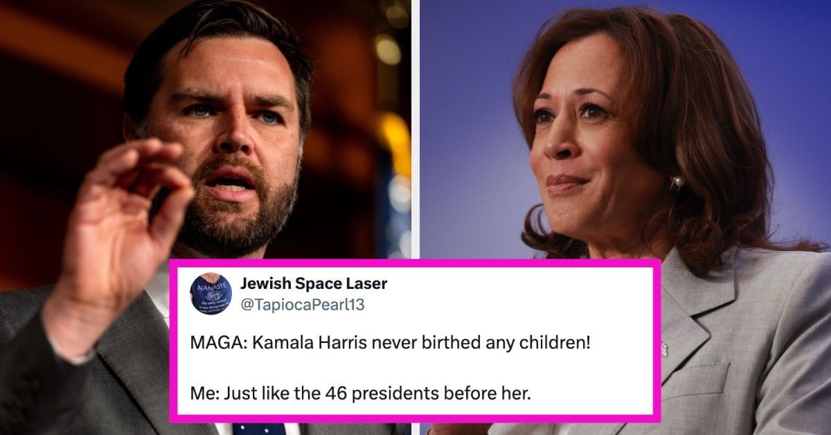 JD Vance Calls Kamala Harris Childless Cat Lady, Backlash Ensues