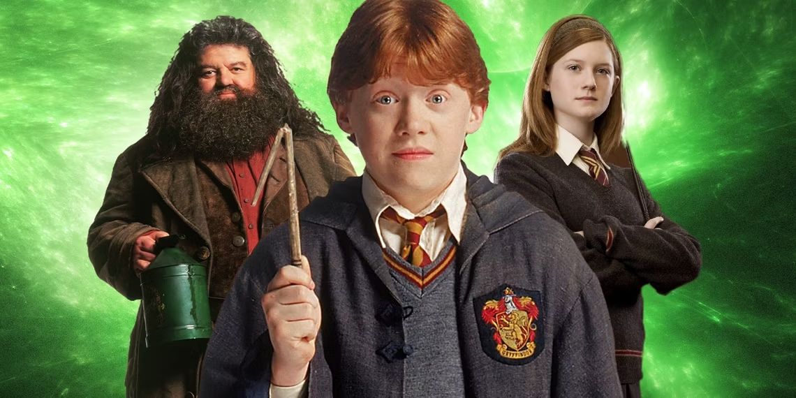 The Truth About Hagrid The Harry Potter Films Kept Hidden