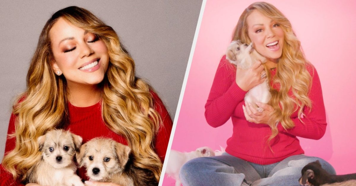 Mariah Carey Kicks Off Holiday Season with Puppy Interview