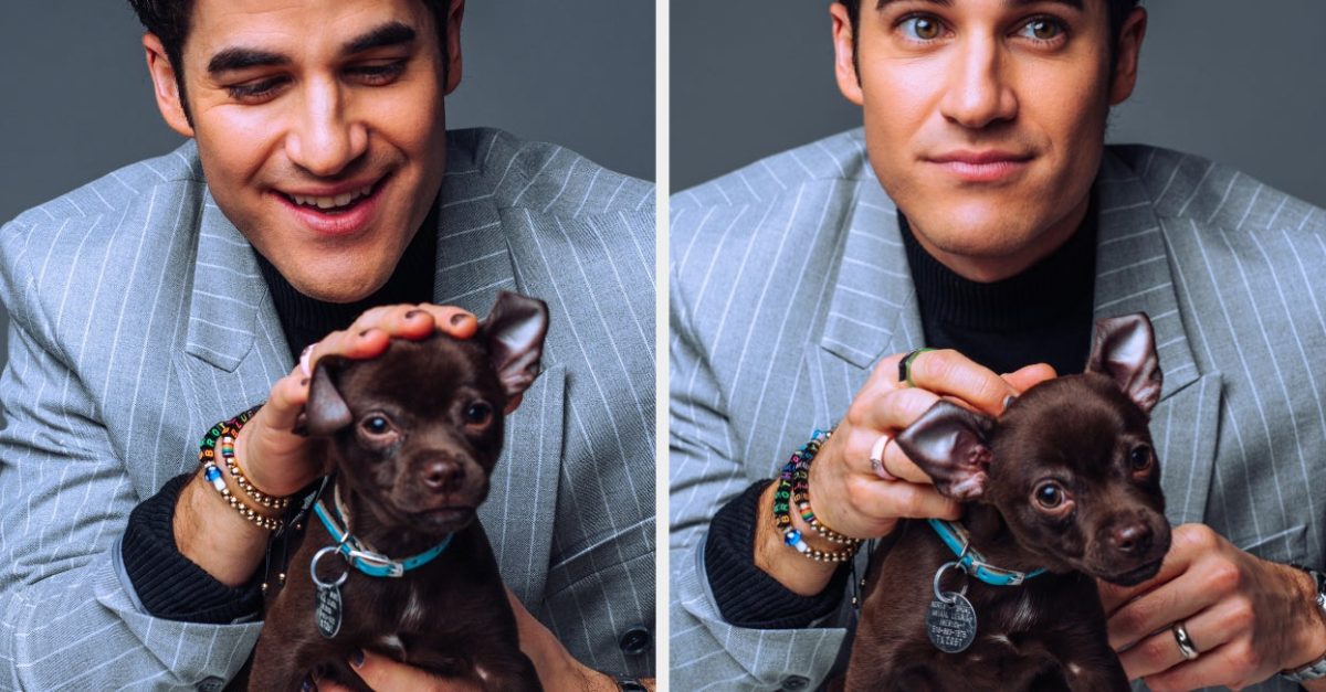 Darren Criss Puppy Interview