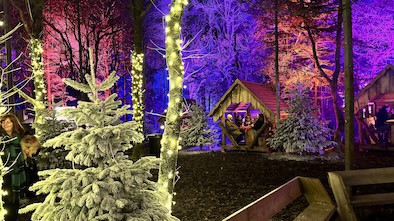 Tulleys Christmas Light Festival Review: A Film-Like Festive Magic